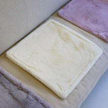 인룸 에코퍼 클라우드 극세사 방석 5colors
