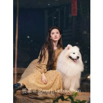 바람 부는 곳으로 이동 유역비 같은 스타일의 꽃무늬 원피스 여성 2023 봄 신작 긴팔 프린트 V넥 스커트