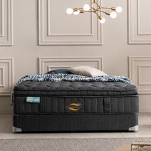 [도르미] 엑스클루시브 33cm 매트리스 퀸 dr5087