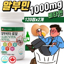 알부민 효능 효과 주사 r-gtp 무기력증 술 알콜 분해 효소 간장 약4개월 기력 없을 때 몸이피곤할때 피로회복 높은 영양제 mega albumin 1000mg 남자 활력 육체피로