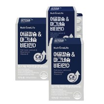 뉴트리원 임영웅 어골칼슘 마그네슘 비타민D 건강의 척도 뼈 뼈 뼈 칼슘, 1개
