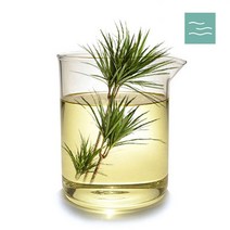 마타바 유카 추출물(천연거품제) (diy재료), 100ml