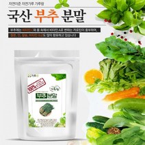 맛있는 국산 부추분말 200g 채소 야채 건강 천연 조미료 가, 상세페이지 참조