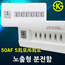 노출형 분전반 분전함 5회로 6회로 차단기함 배전함 배전반 완전조립형 누전차단기 배선차단기 5분기 6분기 30AF 50AF 노출혈분전함 차단기 국산 전기 차단기포함 3회로 4회로, 03. 상도전기 노출형 분전함 5회로
