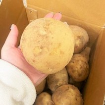 2023년 수확한 국내산 고령 햇감자 감자 수미감자, 감자소(조림.알감자)5kg, 1개
