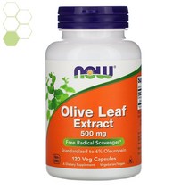 나우푸드 올리브 잎 추출물 추출액 120캡슐, 1+1