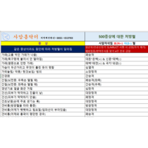 사암홈닥터(500가지 병증과 치료혈+자석침법 + N S 구분 자석패치 100개 포함) 사암침 사암침법