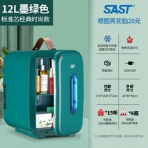 미니냉동고 음식물냉동고 음식물쓰레기냉동고 편의점, 01.12L 그린 차량/가정 겸용