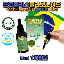 브라질 프로폴리스 원액 성분 항산화 환절기 구내 구강 입안 영양제 플로폴리스 효능 폴리폴리스 그린 플라보노이드 액상 함량 성분