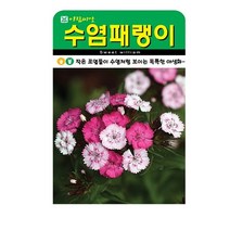 SN월드 야생화 씨앗 꽃씨앗 모음, 야생화 - 수염패랭이(500립)