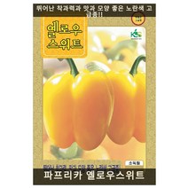 파프리카 옐로우스위트 5립/도시농업용채소/과채류/가정원예용채소/씨앗