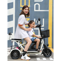 3인승 초경량 전기자전거 통근 등하원 3륜 접이식 자전거, 400W 전기자전거 11A/40km 2인승