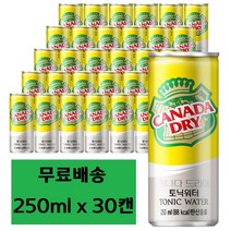 캐나다 드라이 토닉워터 250ml x 30캔, 30개