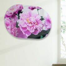 바보사랑 폼아크릴액자58CmX38Cm타원 부를부르는작약꽃.꾸밈