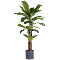 3m 조화 바나나 나무 야자수 실내 큰 키 휴양지 조경, 2.2m+ 화분 손으로 느끼는 나뭇잎