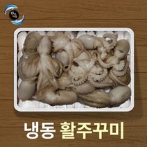 한바다몰 활주꾸미 절단쭈꾸미 쭈꾸미 구이 활쭈꾸미 주꾸미볶음, 활쭈꾸미1kgg(태국), 1개