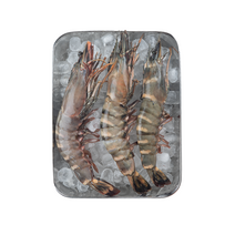 [묶음할인특가] 킹 타이거 새우 3미 묶음 블랙 타이거 새우 대왕새우 특대 40cm 랍스타 킹크랩 업소용 도매 소매, (노마진)특대 3미