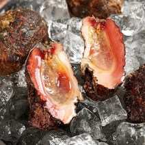 통영 돌멍게 1kg 4-7미x1, 1개