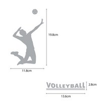 오피스왕국 배구 volleyball1 스포츠 그래픽 스티커, 메탈실버