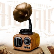 Sansui 레트로 라디오 블루투스 스피커 T31 브리츠 엔틱 스타일, 진한 브라운