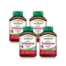 자미에슨 에키나시아 Echiea 1200mg 120정 x4