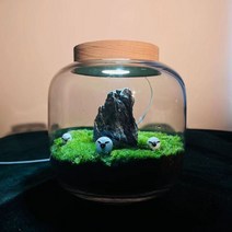 비바리움 이끼 테라리움 식물 미니 파충류 홈 꾸미기 가드닝 키트, 엄청 작은, Bicao 원통형 필라이트usb 인터페이스T