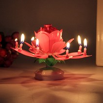 라이프공방 촛불멜로디연꽃초 생일축하 멜로디생일초, 8촛불, 원형판레드