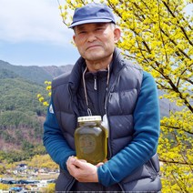 국내산 자연산 지리산 천연벌꿀 100% 산수유꿀 1.2kg 2.4kg 양봉농장 산지직송 벌꿀화분 1kg, 1개