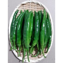 달고 맛있는 아삭이고추 500g