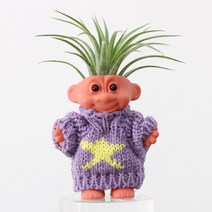 미니화분 다육이 화분 사무실 책상 이오난사 트롤, 1.별 퍼플, 1개