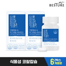 베스처 코랄칼슘 앤 마그네슘 비타민D 6개월분, 1세트