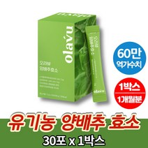 국내산 유기농 양배추 효소 동결건조 약국 코스트코 고역가수치 역가수치 높은효소 락토바실러스균 곡물 혼합 가루 분말 파우더 스틱 30포, 1박스