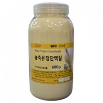 WPC 농축유청단백질 분말 99 1통 600g, 상세페이지 참조, 상세페이지 참조, 상세페이지 참조