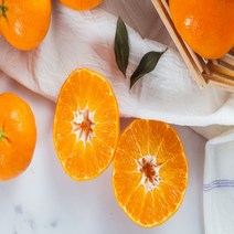 설 명절 선물세트 제주 레드향, 가정용 레드향 5kg 중과 (23과내외)