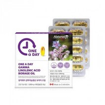 네추럴라이즈 원어데이 감마리놀렌산 보라지 오일 90g (1000mg90캡슐)