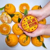 써니트 한라봉 5kg 신품종 제주 제철 과일 할라봉, 원조 한라봉 소중과 5kg (25~30과)