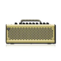 일렉기타 휴대용 엠프 악기 베이스 스피커 장비 소형, THR5A 전동박스 전용  +스피커 전용패키지