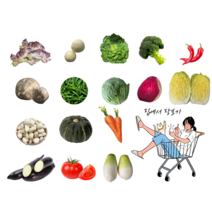 지구별장터 야채 소량 골라 담기 농산물 소포장 꾸러미 장보기, 모닝고추500g