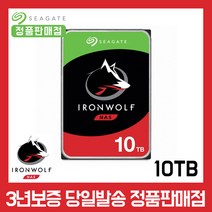 씨게이트 IronWolf HDD NAS용, 10TB, ST10000VN000