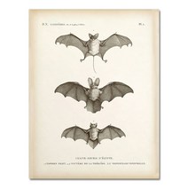 엔틱 앤틱 가구 손잡이 소품 빈티지 박쥐 인쇄 할로윈 벽 아트 캔버스 회화 골동품 박쥐, 15x20cm 프레임 없음, 2452-01