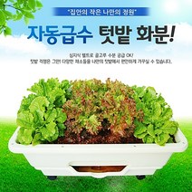 자동급수텃밭 옥상텃밭만들기 집에서채소키우기 아파트베란다텃밭, 베이지