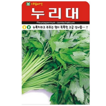 향이 독특한 고급 산나물 누리대 누룩치 20립