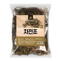 엄마애손 차전초 질경이 200g 국내산, 1개