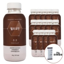 웰프로틴 초코 15개입 1박스+견과류 1봉 증정 맛있는 단백질 쉐이크 선식