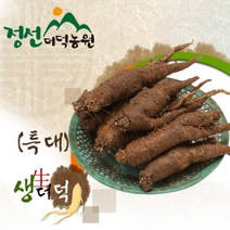 6년근 정선 산더덕 (특대) 담금주용 산지직송 향과 식감이 좋은 강원도 정선더덕, 1개, 02. 산더덕 (왕특) 1kg (5뿌리내외)