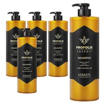 케라시스 로얄 프로폴리스 에너지 플러스 대용량 샴푸 1L, 5개