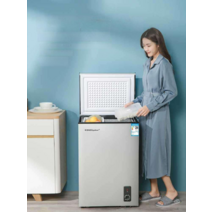 소형 김치 냉장고 서랍식 술장고 식자재 미니 냉장실, 45L