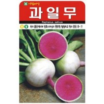 수박무 무 과일무 달달하고 좋은 맛이 씨앗 AR