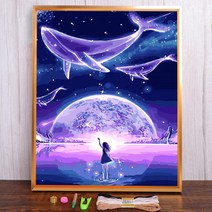 보석십자수 창업 도구 풍경 하늘 달 인쇄 크로스 스티치 패턴 DIY 자수 수제 그림 세공 뜨개질 스탬프 보석, 30x40cm, 11CT 면사, HMA65849_30x40cm_11CT 실크 스레드