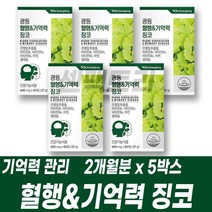 플라보놀 배당체 은행잎 추출물 혈행 기억력 관리 징코 비타민B군 비군 셀렌 아연